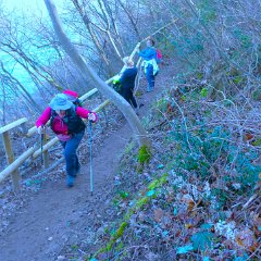 P1180845    Sul sentiero degli ellebori.